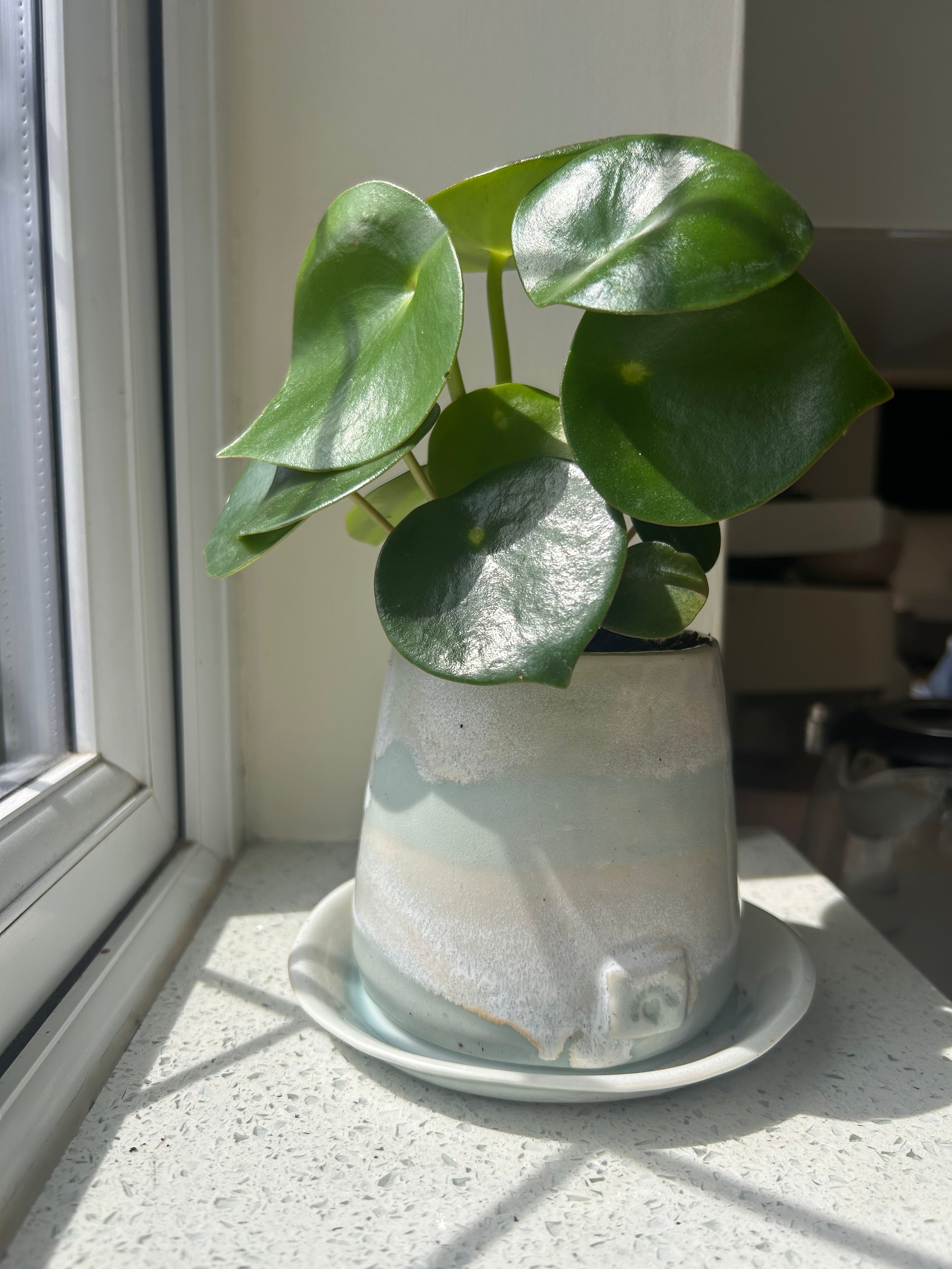 Plant Pot with Saucer