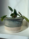 Small Ceramic Vase - Gilly Gonks